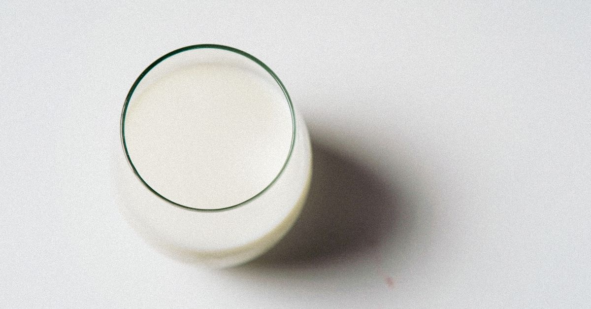Bauchweh nach Milch? So erkennst du Laktoseintoleranz und Milcheiweißallergie – und was wirklich hilft